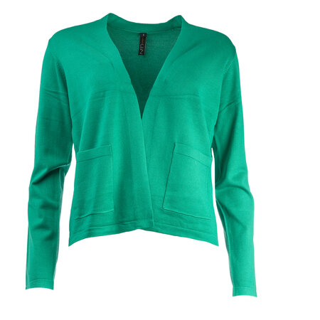 NED vest Shade Glade groen Frank LS Flat knit