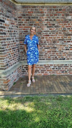Zoso Quincy Splendour printed dress - ocean blue